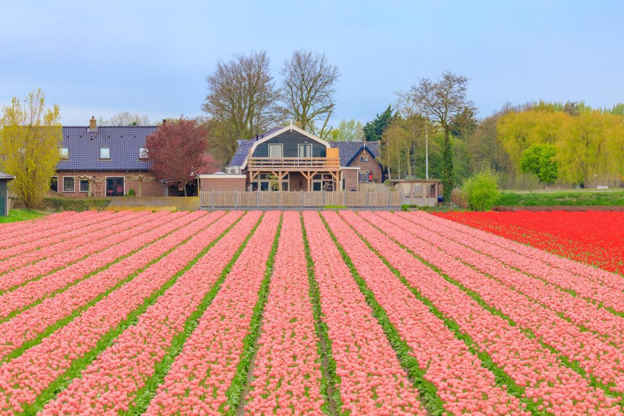 B&B Blossom Lisse Zewnętrze zdjęcie