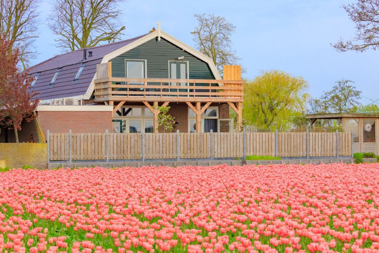 B&B Blossom Lisse Zewnętrze zdjęcie